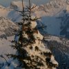 20050226_Oberegg_143